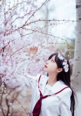 在线精品亚洲一区二区_BD免费高清观看